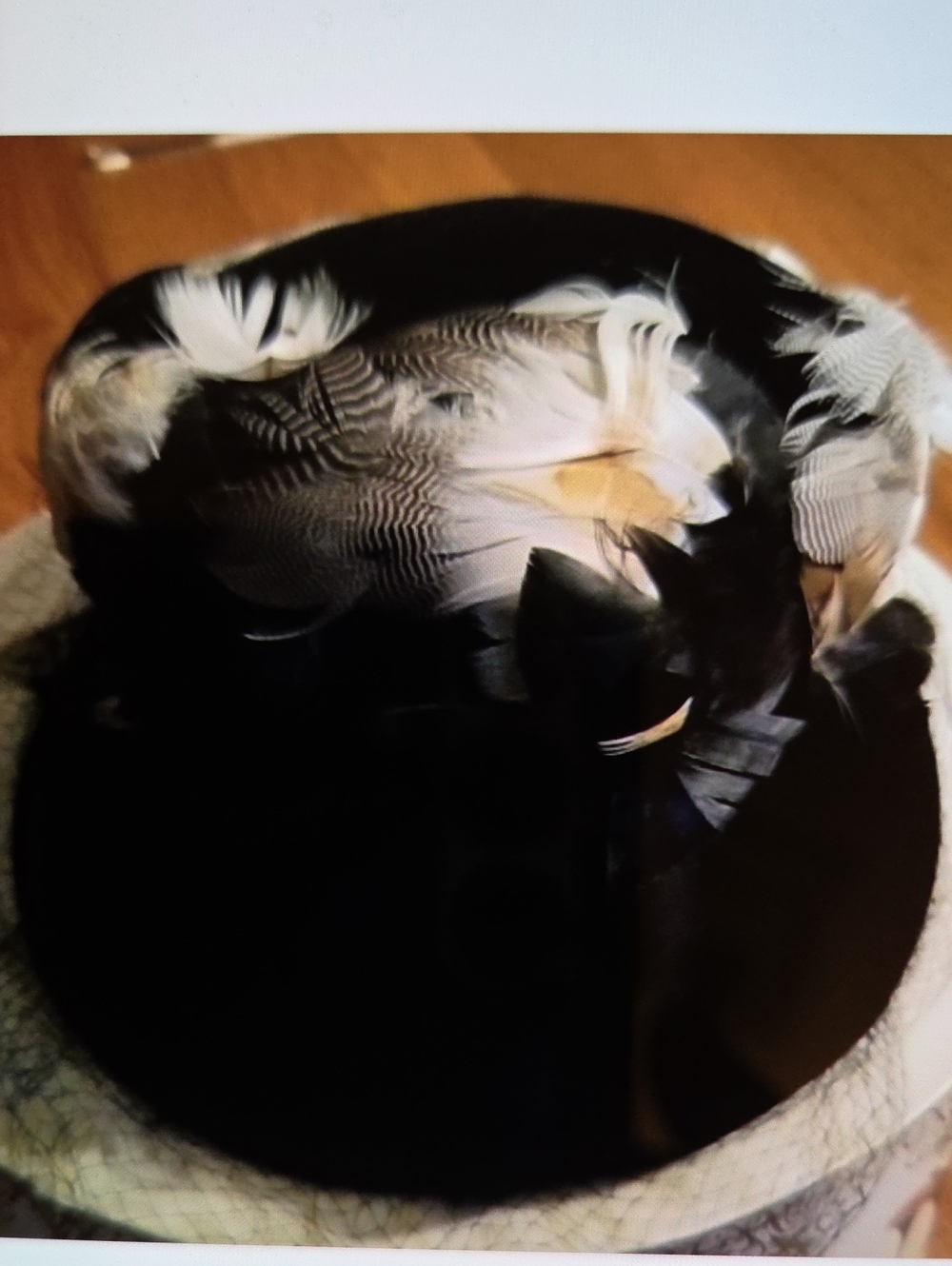 Vintage Hat  Riviera Black and White Feathered Bird Nesting Bowl
